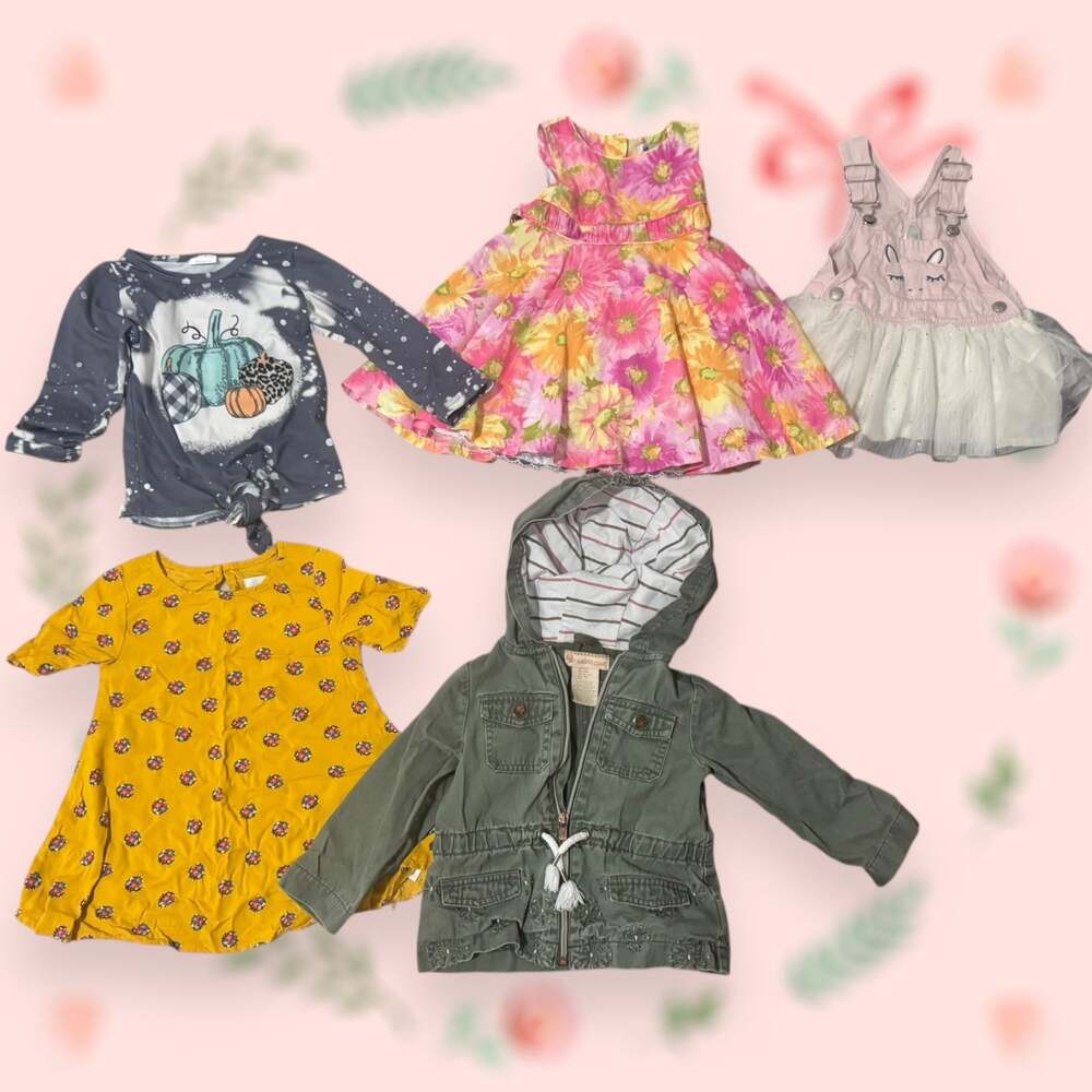 Girls Fall & Summer Outfit Bundle 5 Piece: Dresses, Shirt, Jacket size 12-18 M